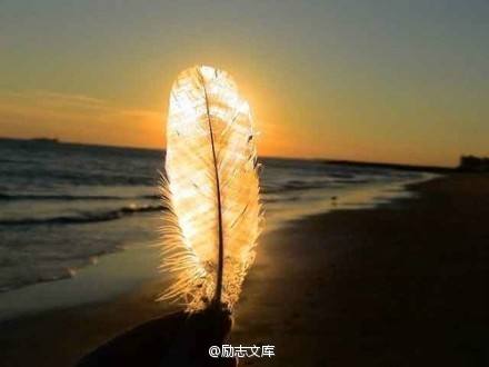 拼多多代运营